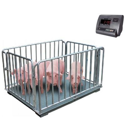 동물용 전자 바닥 무게 1M 2t 돼지 무게 3t 양 소 정확도 0.5kg