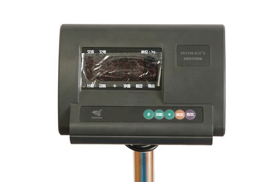 탄소 강철과 500kg 무게 기능을 가진 맞춤형 400kg 디지털 플랫폼 스케일