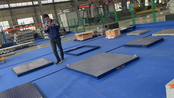 충전 또는 배터리 디스플레이 유형 1.2M 2T 동물용 돼지 척도 사용자 정의 OEM 지원