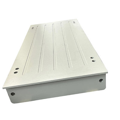 OEM 지원 110/220v 스테인리스 스틸 무게 척도 3000kg 1000kg 벤치 무게 척도